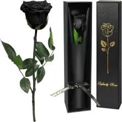 Preserved Flowers Rose Gifts(Black)