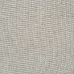 Rollins Durable & Soft 100% Polyester Upholstery Fabric Dove