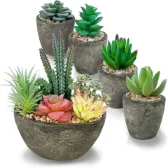 Succulents Plants Artificial Set of 5, Realistic Fake Succulents with Cement Like Pots for Home Office Decoration.