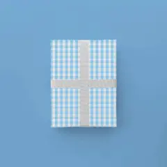 Light Blue Vintage Gingham Gift Wrap