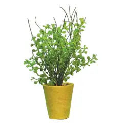 The Potted Fern Features Green Leaves With Twigs