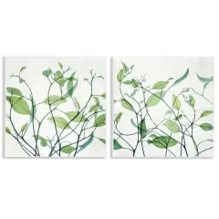 Stupell Industries Green Botanical Leaves Xray 2 pc Wall Plaque Art Set Design by Victoria Barnes