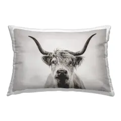 Intense Longhorn Portrait Design by Dakota Diener Throw Pillow 
