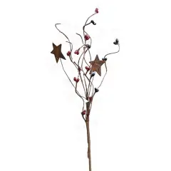 Mix Pip Berries & Star Pick Country Mix