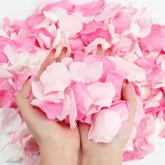240 PCS Real Pink White Rose Flower Petals Confetti for Wedding Flower Girl