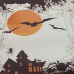 Midnight Flight Designer Printed AIDA Fabric. Canvas for embroidery with an applied backgroundKF-1378A