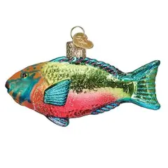 Old World Christmas 2.25 In Parrotfish Christmas Tree Ornament , Ocean Coral Reef Strength Multicolored