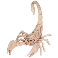 Realistic Skeleton Scorpion with Durable Injection Plastic 9 Inches Long