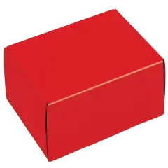 Pack/6: Red Decorative Mailer - 12 x 9 x 3"