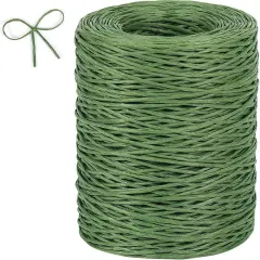 Floral Wire, 656 Feet 2mm Paper Covered Bind Wire for Floral Bouquets, Crowns, Wreath Making, Christmas Ornaments, Garlands, Wedding Decorating, Crafts (Green)