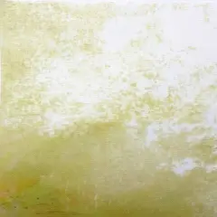 Sunlit Canopy Designer Printed AIDA Fabric. Canvas for embroidery with an applied backgroundKF-1133A