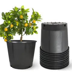 Heavy Duty Premium Black Plastic Nursery Plant Container Garden Planter Pot 3gal