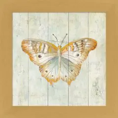 Natural Flora VII by Danhui Nai 13" x 13" Framed Wall Art