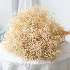 6500+ Dried-Babys-Breath-Flowers-Bouquet, Double Quantityed Ivory White Flowers, Natural Gypsophila Branches, Valentine's Day, Dry Flowers Bulk for Vase, DIY Wreath Home Party Wedding(5.7Oz)