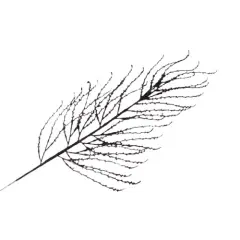 36" Black Flocked Branch Halloween Artificial Plastic Pick