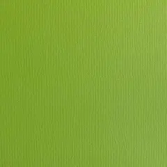 GRASSHOPPER - Textured 12x12 Cardstock - Encore Paper