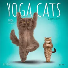 Yoga Cats Together OFFICIAL | 2026 12 x 24 Inch (Hanging) Monthly Square Wall Calendar