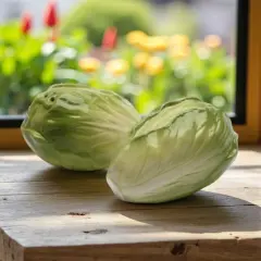 Hand Painted Ceramic Lettuce Salt & Pepper Shakers, Home D&eacute;cor, Gift for Her, Gift for Mom, Kitchen D&eacute;cor, Farmhouse D&eacute;cor