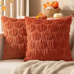 Set of 2 Fall Decorative Pillow Covers 20x20 Inch(Rust)