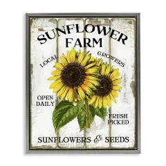 Stupell Industries Antique Sunflower Farm Seeds Floater Framed Canvas Wall Art Design by Creatif Belle