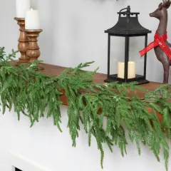 Northlight Frosted Norfolk Pine Artificial Christmas Garland - 5' - Unlit Green