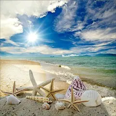Seaside Beach Diamond Painting Kits for Adults,Starfish Seashell Diamond Painting Kits Ocean Theme, Beach Landscape Diamond Art,Ocean Diamond Art Perfect for Home Wall Decor(14x14in), white