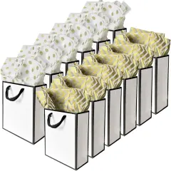 12 Pack Small Gift Bags with Tissue Paper
