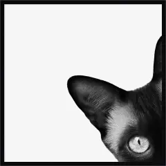 Around The Corner by Jon Bertelli Wood Framed Wall Art Print