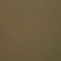 Dulce Versatile, Fire Safe Upholstery Fabric Basil