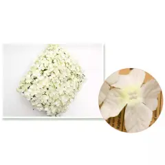 Kitcheniva White Artificial Flower Wall Silk Fabric
