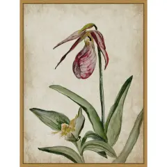 Elegance Unveiled II by Jacob q Framed Canvas Wall Art