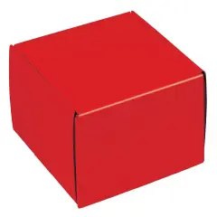 Pack/6: Red Decorative Mailer - 9 x 9 x 4"