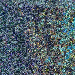 1 Yard Glitz Sequins Power Mesh Dancewear Fabric 36/60 Inch Width Silver Hologram