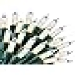 Classroom Bedroom Holiday Wedding Party Garland Birthday Festival