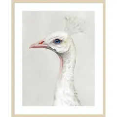 Alpine Peacock II by Grace Popp Wood Framed Wall Art Print