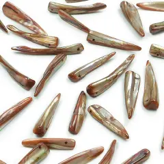 6 Packs of Tinted Shell Spike Natural 2/8" Str