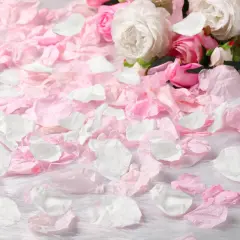 200 Pcs Real Dried Rose Petals for Wedding Flower to Throw