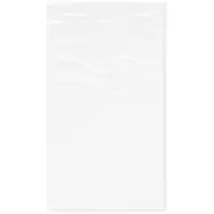Plymor 5" x 8", White 2 Mil Zipper Reclosable Plastic Bags