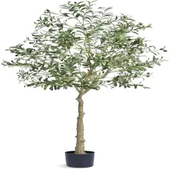 Realistic Green Olive Tree Plant Decor