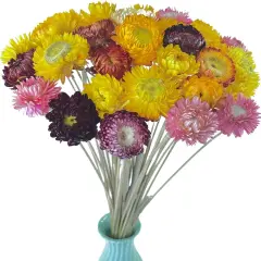 40 Pcs Natural Dried Daisy Flowers with Stems &ndash; Summer Rustic Dried Flower Bouquet for Tabletop Decor, Wedding, Home, Office, Party, DIY Floral Arrangements & Crafts