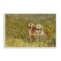 Stupell Industries Happy Dogs Field Day Framed Giclee Design by Sueellen Ross