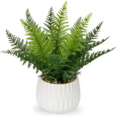 Faux Plant Indoor in Ceramic Pot 13" Artificial Potted Fern Fake House Plants for Desk Office Bathroom Garden Decoration