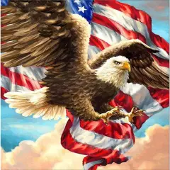 Patriotic Diamond Painting Kits for Adults Beginners - 5D DIY Eagle American Flag Full Drill Diamond Kits Painting Crafts for Home Wall Decor, Diamond Art Kits,12x16inch