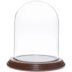 Plymor 4" x 5.25" Glass Display Dome Cloche Walnut Veneer