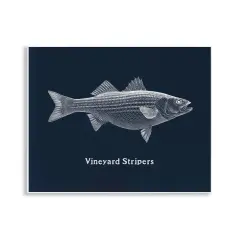 Stupell Industries Vineyard Stripers Fish Wall Plaque Design by Phillipa Katz