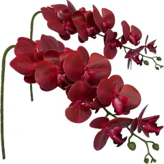 Artificial Phalaenopsis Flowers Branches 9 Large Blooms Artificial Orchid Flowers Stem Plants 42 Inches 2 Pcs for Home Wedding D&eacute;cor (Red)