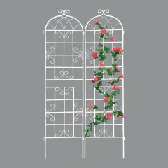 2-Pack Rustproof Metal Garden Trellis 86.7"x19.7"