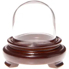 Plymor 1.875" x 1.875" Mini Glass Display Dome Cloche Walnut Wood Veneer