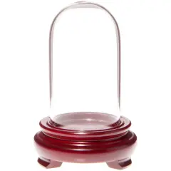 Plymor 1.85" x 3.5" Mini Glass Display Dome Cloche Red Wood Veneer