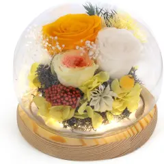 Eternal Preserved Roses with LED Light